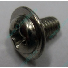 Компьютерный винт "малый" PW-M3x6mm (Серпухов)