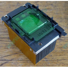 Радиатор HP p/n 279680-001 (socket 603/604) - Серпухов