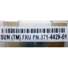 Серверная память SUN (FRU PN 371-4429-01) 4096Mb (4Gb) DDR3 ECC в Серпухове, память для сервера SUN FRU P/N 371-4429-01 (Серпухов)