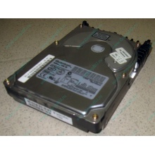 Жесткий диск 18.4Gb Quantum Atlas 10K III U160 SCSI 80 pin (Серпухов)