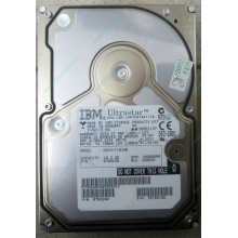 Жесткий диск 18.2Gb IBM Ultrastar DDYS-T18350 Ultra3 SCSI (Серпухов)