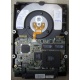 Жесткий диск 18.2Gb IBM Ultrastar DDYS-T18350 Ultra3 SCSI (Серпухов)