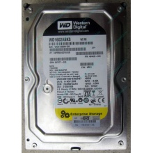 Жесткий диск 160Gb WD WD1602ABKS SATA (Серпухов)