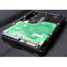 Жесткий диск 600Gb 15k Dell 9FN066-008 6G SAS ( Seagate Cheetach ST3600057SS 15K.7) - Серпухов