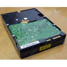 Б/У жёсткий диск 400Gb WD WD4000YR Caviar RE2 7200 rpm SATA  (Серпухов)