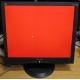 Монитор 19" ViewSonic VA903b (1280x1024) есть битые пиксели (Серпухов)
