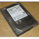 HDD 500Gb Hitachi HDS721050DLE630 донор на запчасти (Серпухов)
