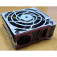 HP 224977 (224978-001) for Proliant ML370 G2/G3/G4 (Серпухов).