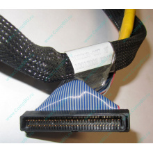 Кабель SCSI HP 166298-037 для HP ML370 G4 (Серпухов)