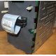 HP 365664-001 кабель SCSI для корзины 373108-001 / 359719-001 HP ML370G4 (Серпухов)