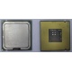 Процессор Intel Celeron D 336 (2.8GHz /256kb /533MHz) SL98W s.775 (Серпухов)