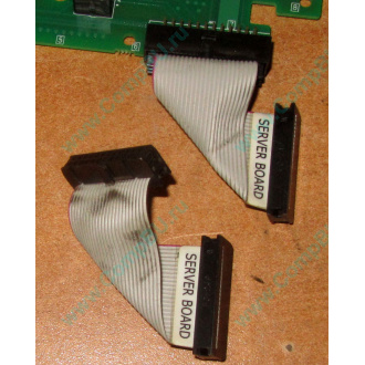 6017B0045701 Шлейф 24 pin для Intel C74974-401 T0043401-B01 корпуса SR2400 (Серпухов)