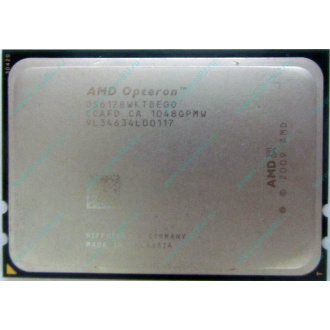 AMD Opteron 6128 OS6128WKT8EGO (Серпухов)
