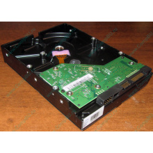 Жесткий диск 500Gb WD WD5000AAKX HP 634605-003 613208-001 7.2k SATA (Серпухов)