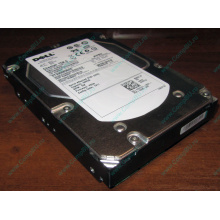 Жесткий диск 300Gb 15k Dell 9CH066-050 ST3300656SS Cheetah 15K.6 6G SAS (Серпухов)