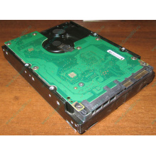 Жесткий диск 300Gb 15k Dell 9CH066-050 6G SAS (Seagate Cheetach ST3300656SS 15K.6) - Серпухов